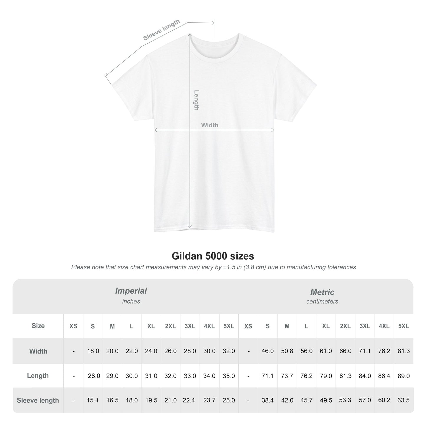 "Delulu is the solulu" Heavy T-Shirt (Black Edition)